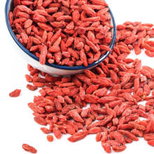 Organic Goji berry/Wolfberry